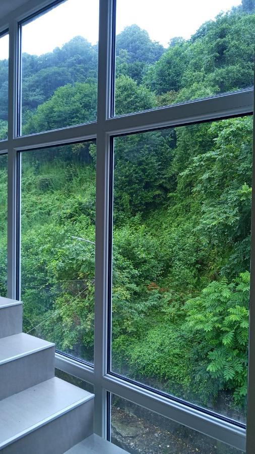 Kolkhi Guest House Gonio Ngoại thất bức ảnh