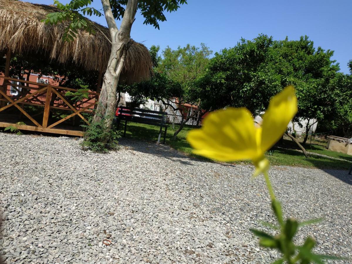 Kolkhi Guest House Gonio Ngoại thất bức ảnh